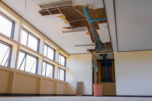 Best Flood damage cleanup  in Grandview, TX