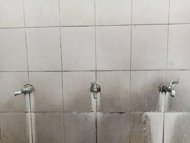 Best Professional water damage repair  in Grandview, TX